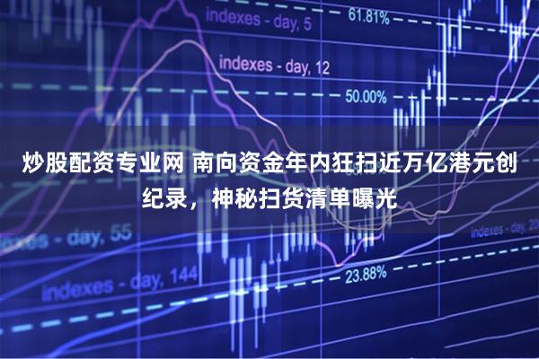 炒股配资专业网 南向资金年内狂扫近万亿港元创纪录，神秘扫货清单曝光